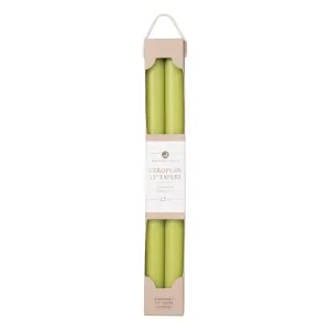 12" Tapers 2pk - New Leaf