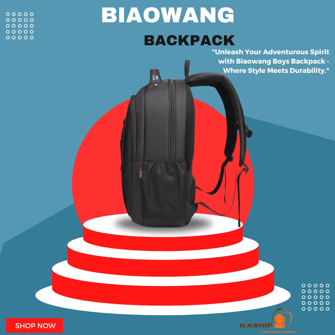 Biaowang Well-Partitioned Laptop Travel/Work/ Backpack – ZBP1055