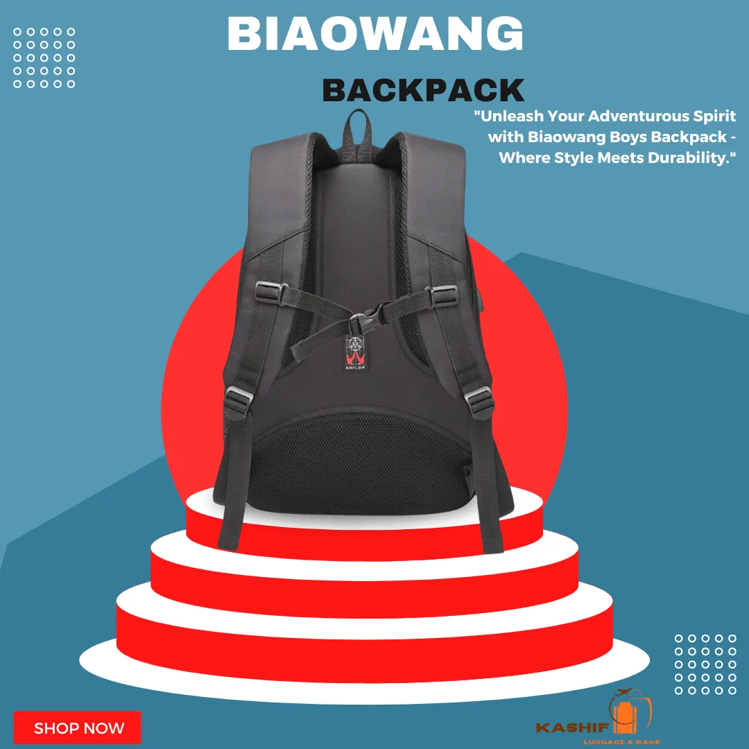 Biaowang Well-Partitioned Laptop Travel/Work/ Backpack – ZBP1055