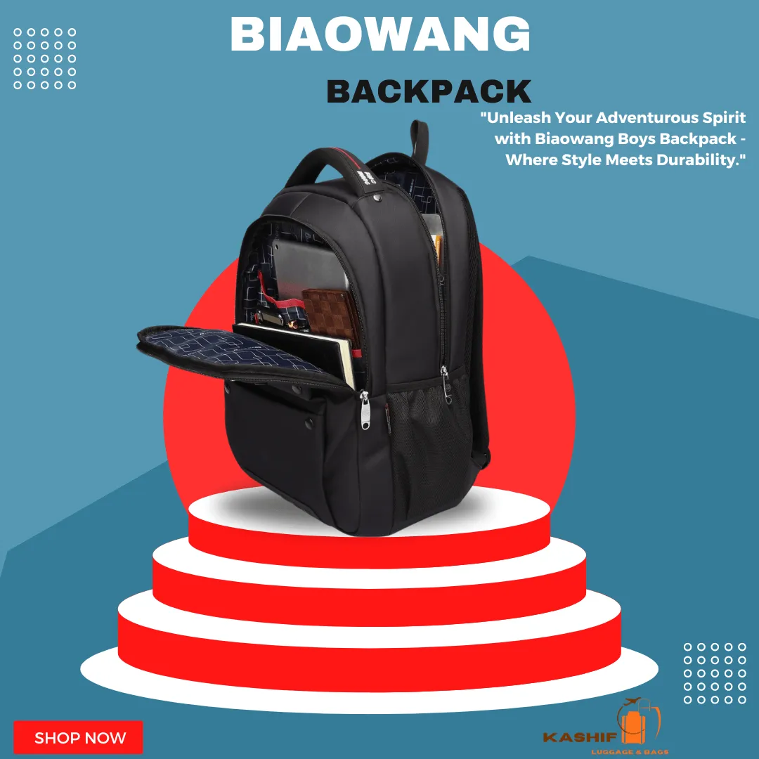 Biaowang Well-Partitioned Laptop Travel/Work/ Backpack – ZBP1055