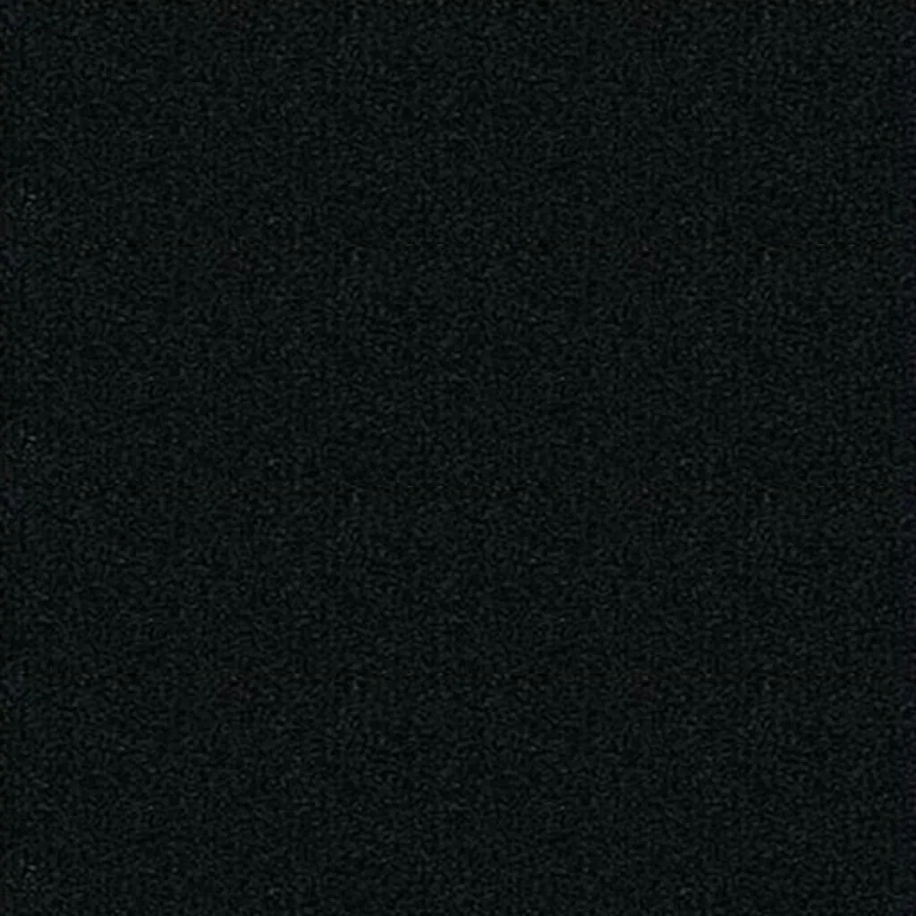 Canson Ingres Paper 27lb 19.5in x 25.5in Stygian Black