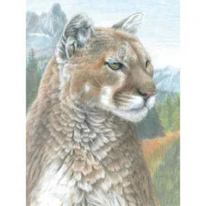 Color Pencil by Numbers Cougar