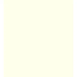Colorline Paper Sheets 19in x 25in 150gsm Ivory