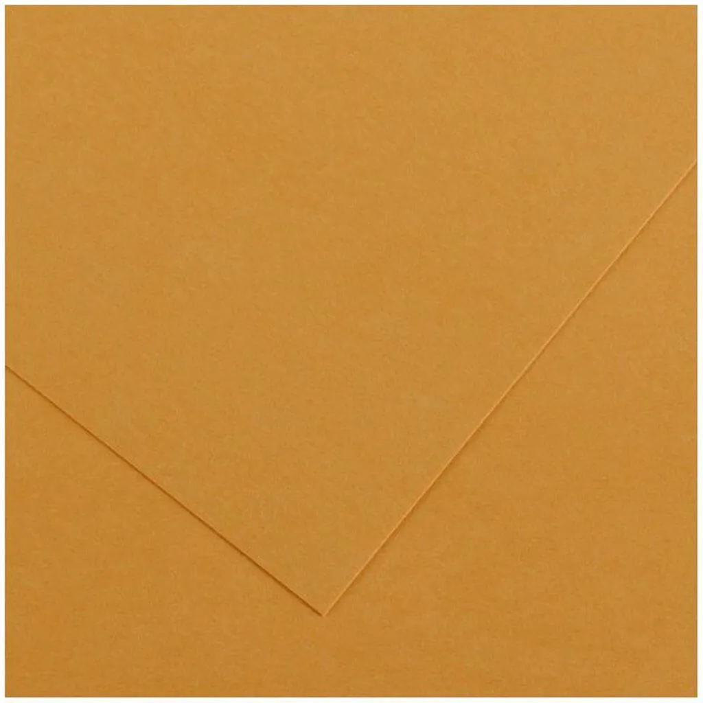 Colorline Paper Sheets 8.5in x 11in 300gsm Leather