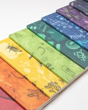 Experiment Mystery Notebook 6-pack