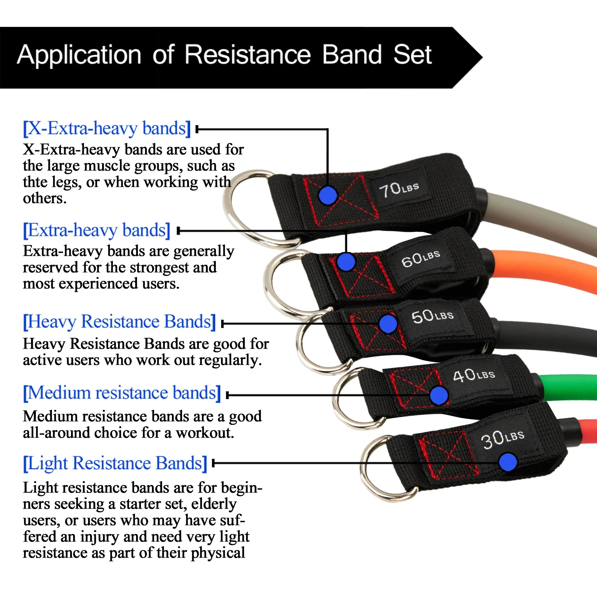 TheFitLife Exercise Resistance Bands with Handles - 5 Fitness Workout Bands Stackable up to 250 lbs, Training Tubes with Large Handles, Ankle Straps, Door Anchor, Carry Bag