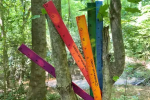 Thermochromic Ruler